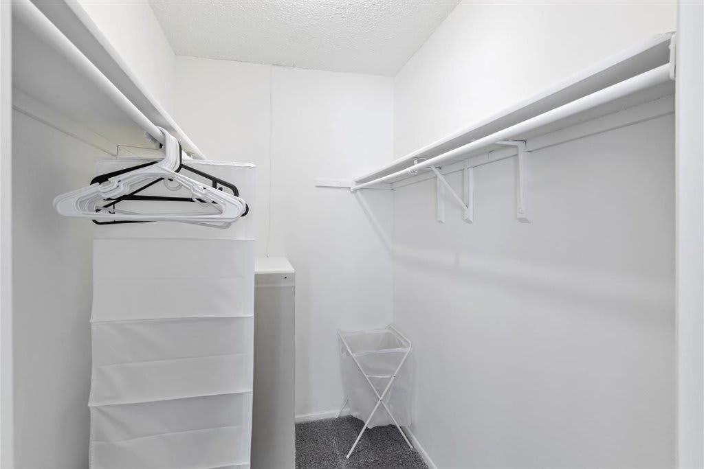 Special Apartment 1Br With Gym And Parking Bradenton Extérieur photo